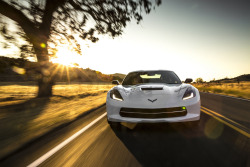 automotivated:  2014 Chevrolet Corvette Stingray (by Car Fanatics)