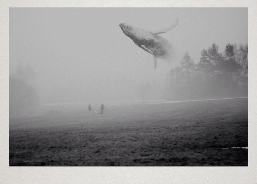 inspiringpieces:  Conceptual photographs by Martin Vlach. The artist digitally merges his own photography with elements of nature to create surreal, atmospheric scenes that feel both isolating and mysterious. source: http://goo.gl/RJNLT1 