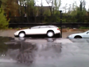 danceswithkrinks:  What would you do if you step outside and see this? I would be