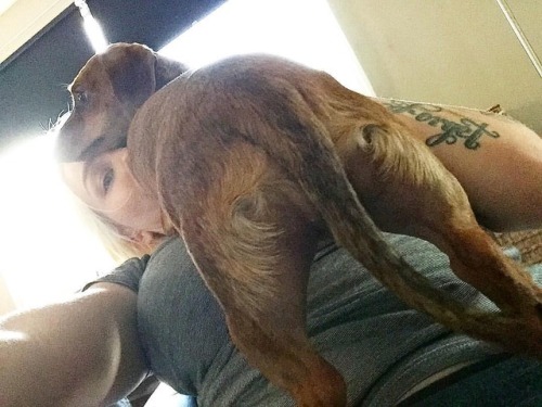 Excuse me, pardon me, coming through ‍♀️ It&rsquo;s a wiener dog thing ‍♀️ #stevieshae #