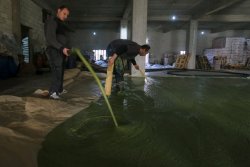 nellnewey:  sixpenceee:  The process of making olive oil soap in a factory in Syria.  Facebook | Instagram | Scary Story Website  crazy 