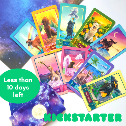 There are less than 10 days left on The Barkana Kickstarter! Can you believe it?? It’s been an