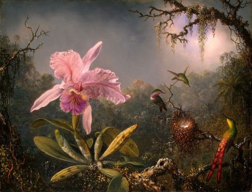 Martin Johnson Heade, orquídea de Cattleya y tres colibríes brasileños, 1871