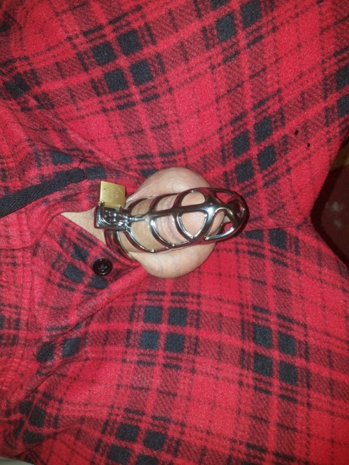 facesittingpet: This worthless little cock that cant even fill its tiny cage. I belong to @goddesspa