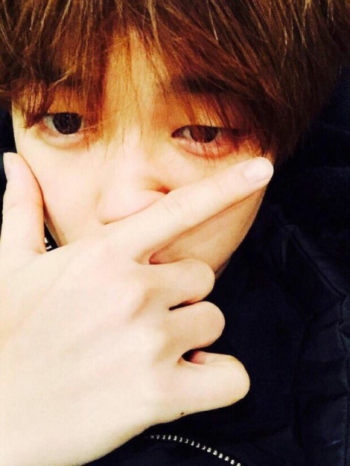 Old Jimin Selcas