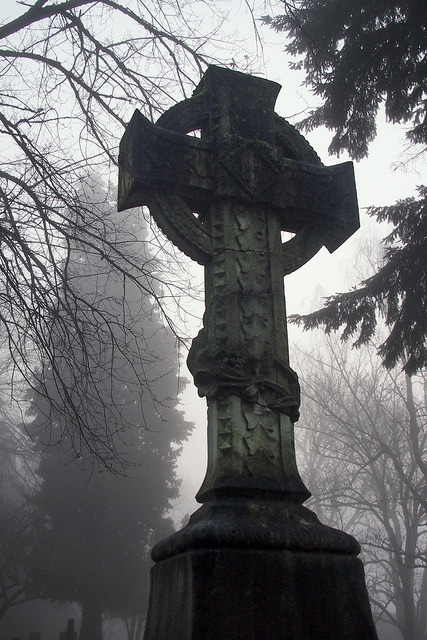 unbenannt by p medved on Flickr.