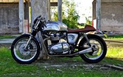 caferacerdesign:  Cafe Racer Design SourceTriumph