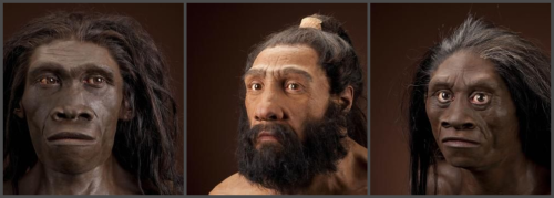 OK, I’m a Neanderthal, according to this quiz (created by a student at Appalachian State University)