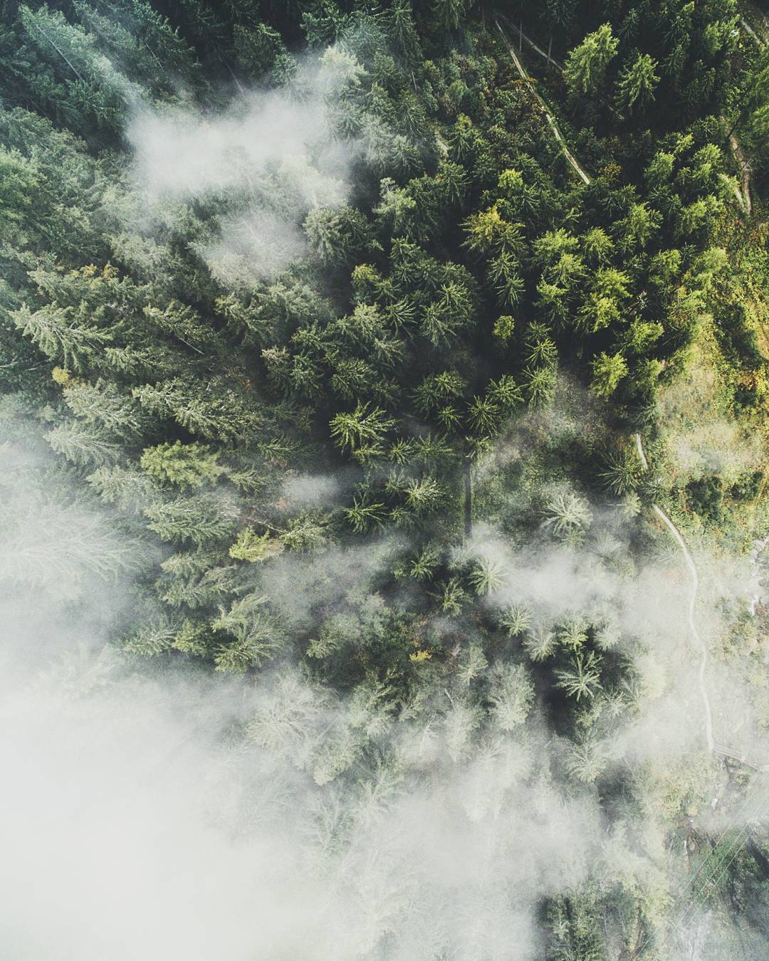 landscape-photo-graphy:  16-Year-Old Boy Captures Stunning Fairy Tale Landscape Photography