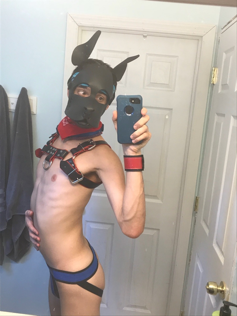 pupholstergunner:  I may look innocent but those who know me, know that’s false