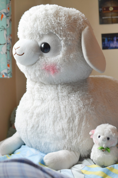 jumbo alpaca plush