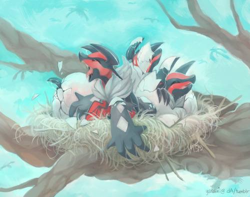 ya-ssui:  hi nintendo, i would like to pre-order 4 baby yveltas please. thank you. 