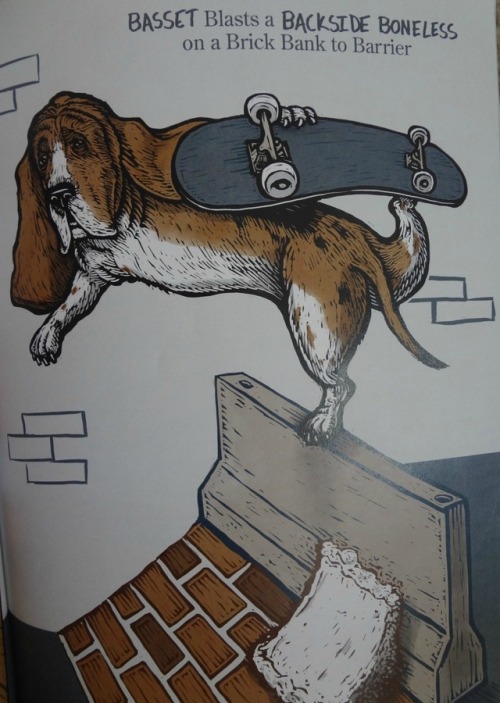 riflegarden: everyone please look at the most incredible alphabet book that i bought 