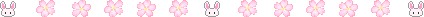 bunny divider