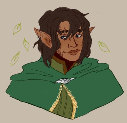 A light brown skinned female Mahariel with jaw-length wavy brown hair, a green & brown shirt beneath a sage green cloak clasped with a leaf pin & multiple scars across her jaw, right ear & eyebrow.