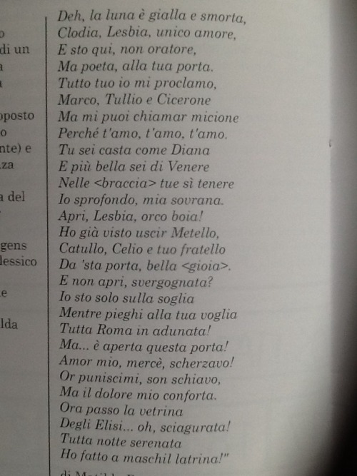 astynomi:confetti-and-dilemma:As I promised, this is “Il Lamento del Cicero Innamorato&rd