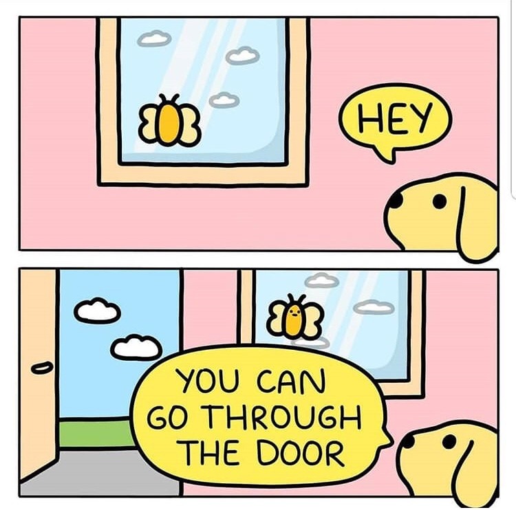 froggiej: broadwaytheanimatedseries:  sweetycheeks:  this made me so happy  reblog to make someone smile credits to @shreyadoodles    fuck this wholesomeness I was waiting for a dumb or sarcastic punchline   I was waiting for it to get stuck at the window