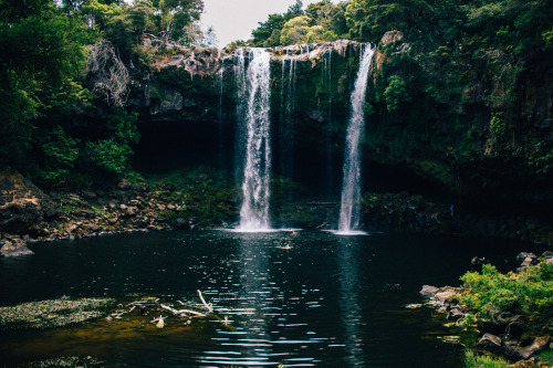 Northland, New Zealand. Waipoua Forest –> Hokianga –> Keri Keri 