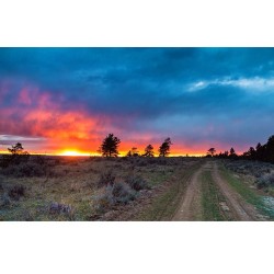 montanamoment:  Showing Off. Big Sky Country