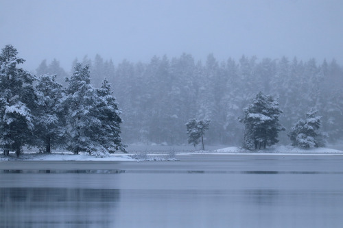 Lake Frövettern.