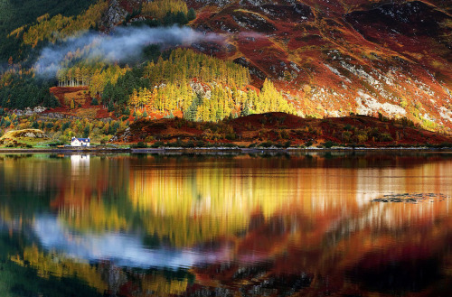 downrabbitholes: Autumn in the Scottish Highlands | source