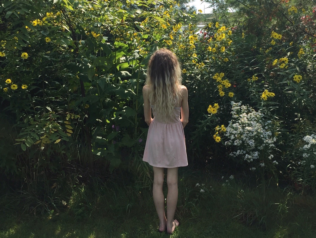floralwaterwitch:I just adore tall wildflowers 🌻✨