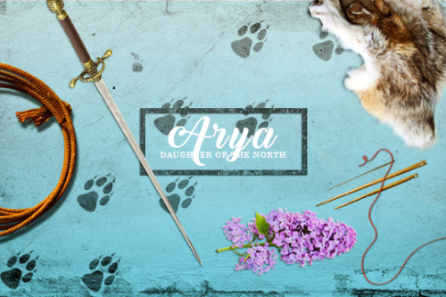 aryastarksource: Arya Stark Aesthetics Throughout the Story