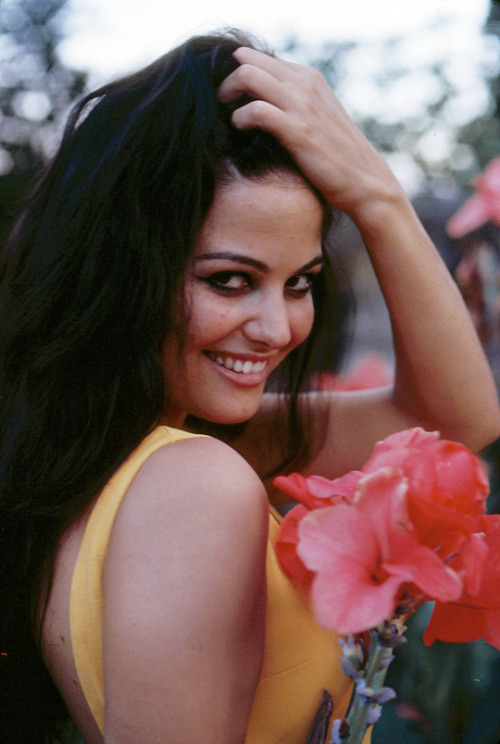 lesbianavagardner:Claudia Cardinale by Patrice Habans, 1962