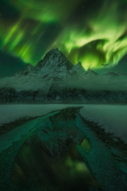earthyday:  Dance of the Night  by Marc Adamus