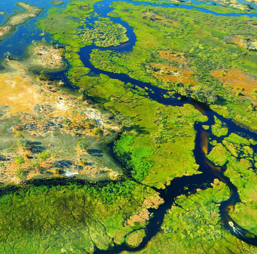 amitrips: The Okavango Delta in Botswana is a very large inland delta formed where the Okavango Rive