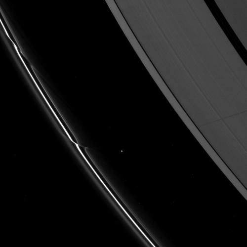 astronomyblog:Ripples in the rings of Saturn caused by the orbit of small moons (Pandora, Pan, Prome