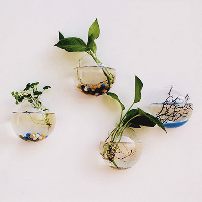 niseu: Creative Wall Hanging Transparent Glass Vase 3rd Anniversary Sales Aug. 8th - 10th!72 Hours E