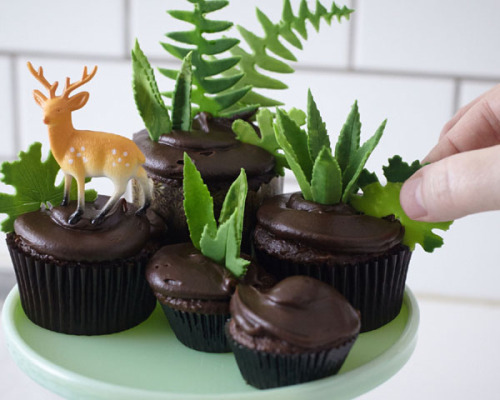 ugly–cupcakes:DIY CUPCAKE TERRARIUM