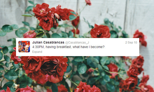 rossellini:  wise words from jules (inspired by x) 