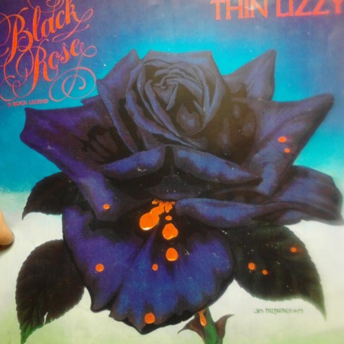 This is the whole process leading up to the finished product. THIN LIZZY worship black rose, commiss