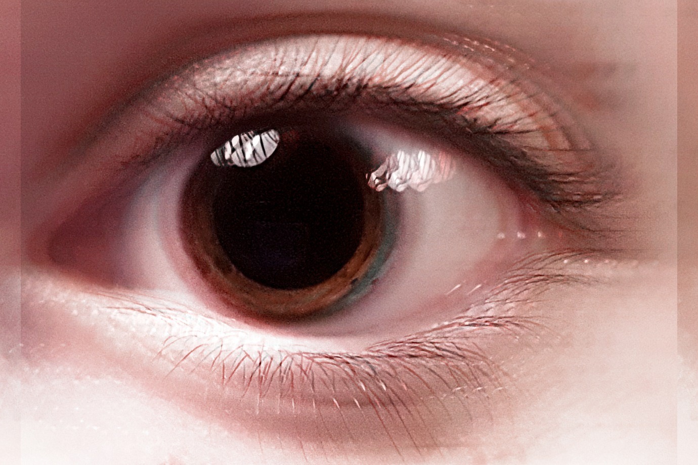 Braune augen sprüche tumblr