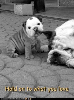 cute-overload:  Keep It Closehttp://cute-overload.tumblr.com 