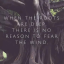 feathers-dancing-with-the-leaves