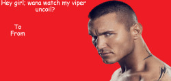 randalkins:  WWE Valentines