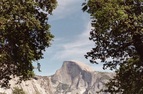 Yosemite National ParkNational Park // No.1Nikon FM // 50mm 1.8 // Colour Plus 200