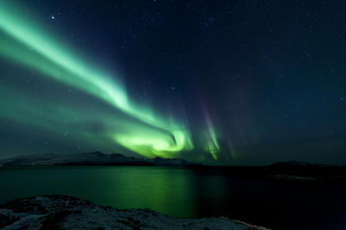 Northern lights & shooting starby Terje Brannfjell