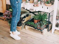 rrrroza:  Florist | ROZA