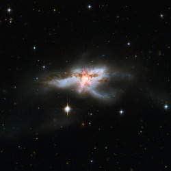 wonders-of-the-cosmos:      NGC 6240 is a nearby ultraluminous infrared galaxy (ULIRG) in the constellation Ophiuchus. The galaxy is the remnant of a merger between two smaller galaxies. The collision between the two progenitors has resulted in a single