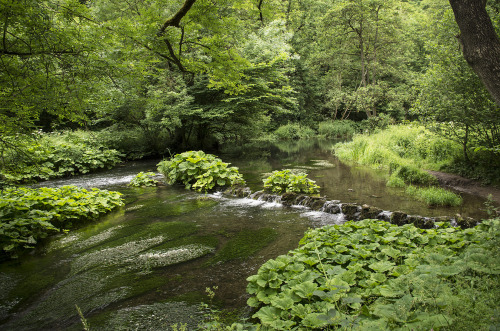 westboundsigntravel - Dovedale, England