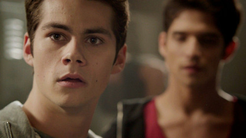 sterek