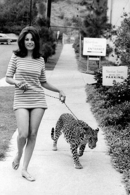 Sex yourcatwasdelicious:  lana wood  pictures