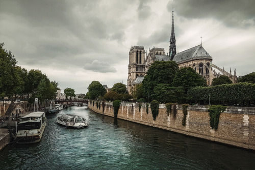 By the river Seine | ParisParis | Europe