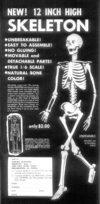 kuueater:   gameraboy:  Skeleton, 1959  