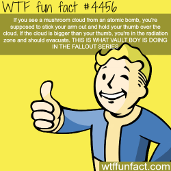wtf-fun-factss:  Why Vault boy is holding