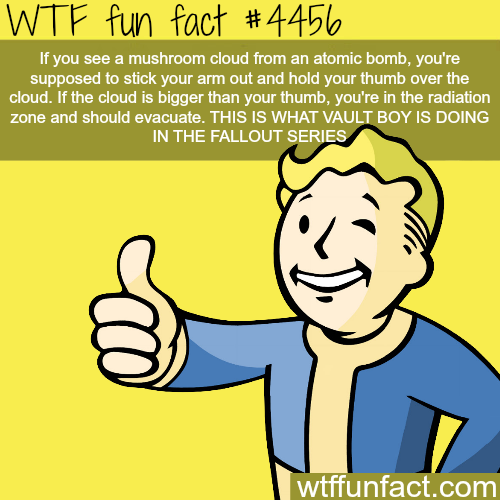 Porn Pics wtf-fun-factss:  Why Vault boy is holding